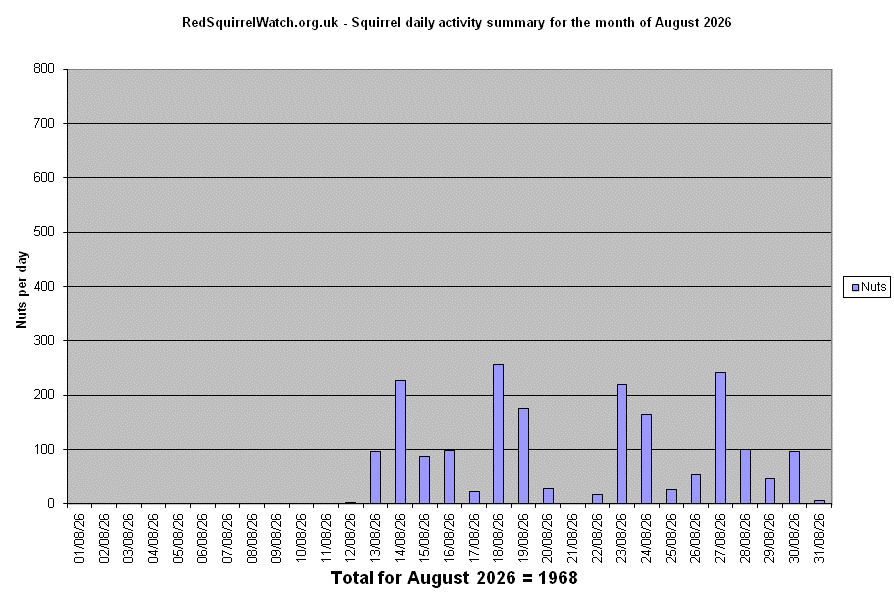 Activity (August)
