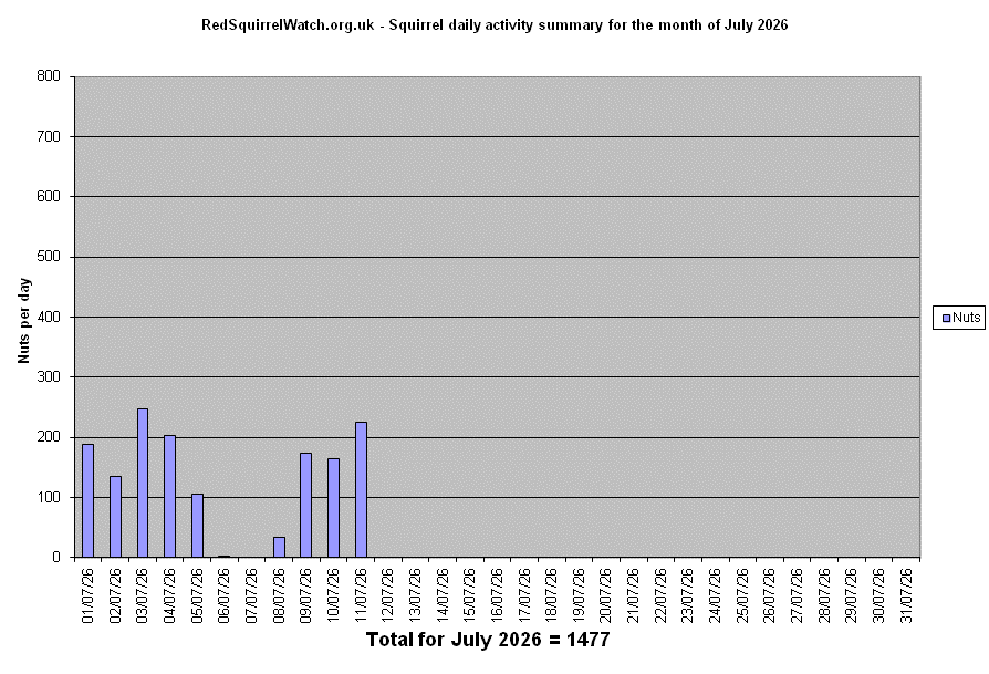 Activity (July)