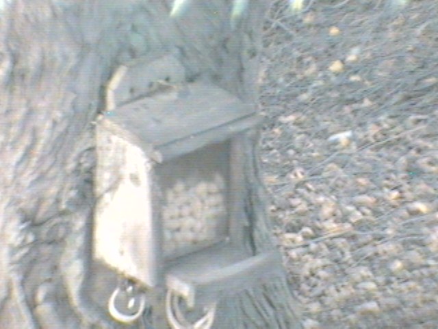 Recent Webcam Image